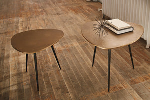 Shemleigh Accent Table (Set of 2) image