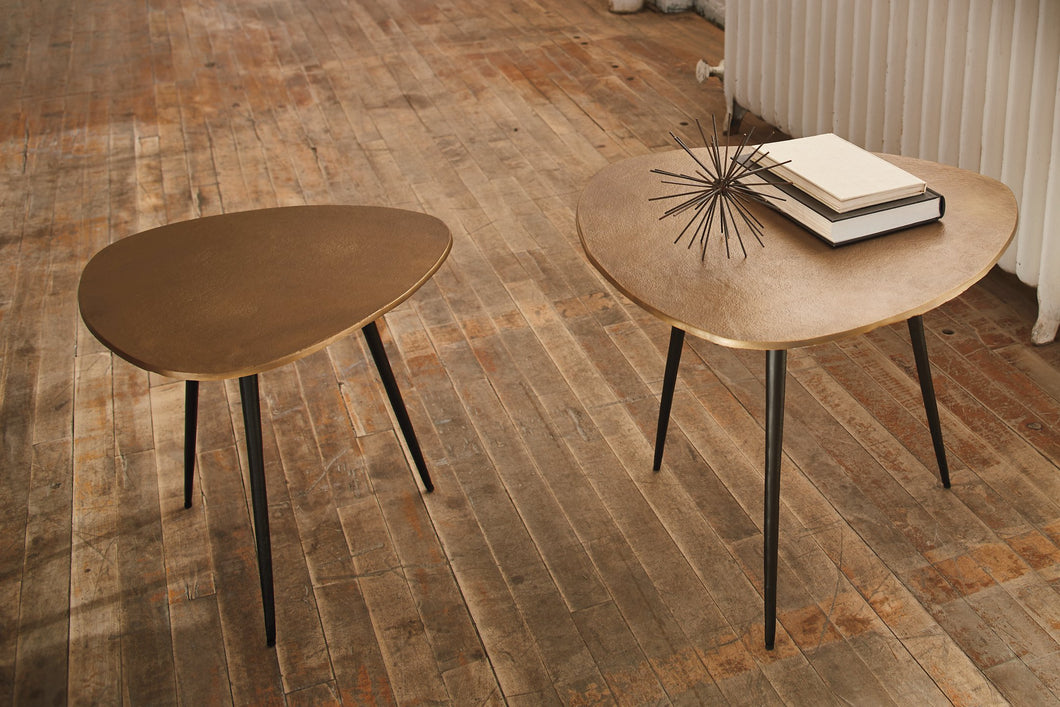 Shemleigh Accent Table (Set of 2) image